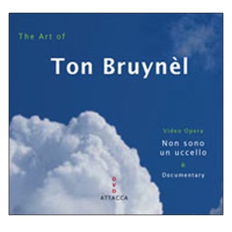 Ton Bruynèl – Non sono un uccello – The art of Ton Bruynèl